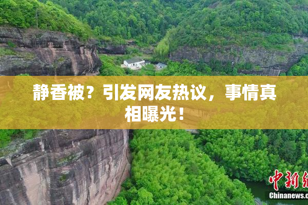 静香被？引发网友热议，事情真相曝光！