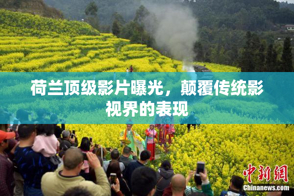 荷兰顶级影片曝光，颠覆传统影视界的表现