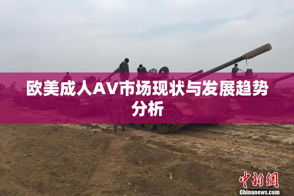 欧美成人AV市场现状与发展趋势分析