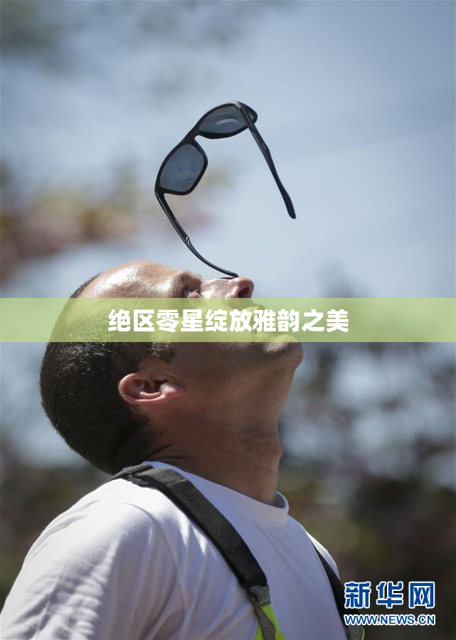 绝区零星绽放雅韵之美