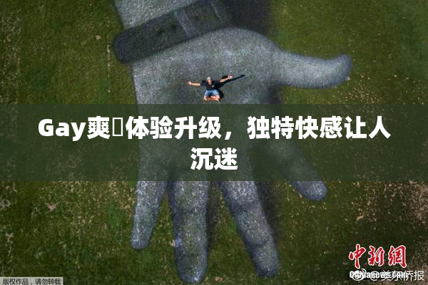 Gay爽擼体验升级，独特快感让人沉迷