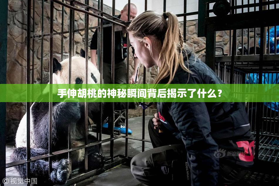 手伸胡桃的神秘瞬间背后揭示了什么？