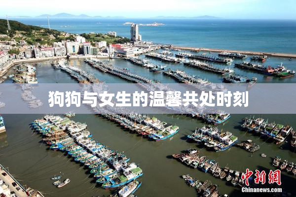 狗狗与女生的温馨共处时刻