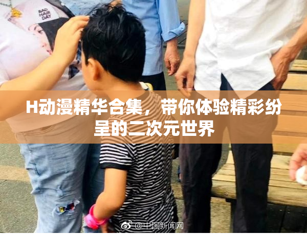 H动漫精华合集，带你体验精彩纷呈的二次元世界