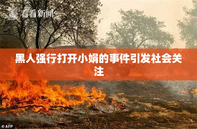 黑人强行打开小娟的事件引发社会关注