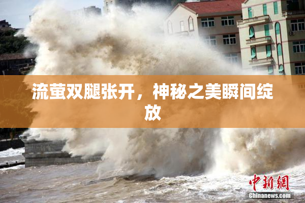 流萤双腿张开，神秘之美瞬间绽放
