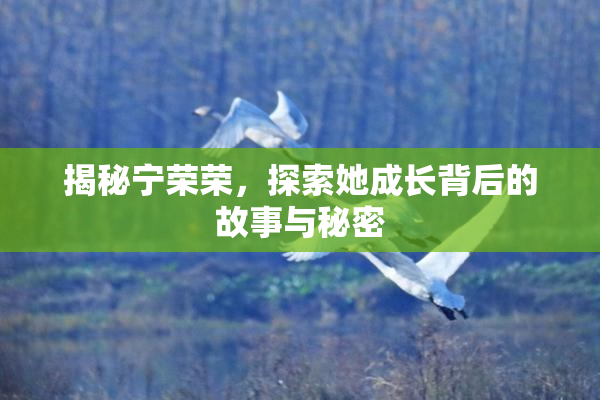 揭秘宁荣荣，探索她成长背后的故事与秘密