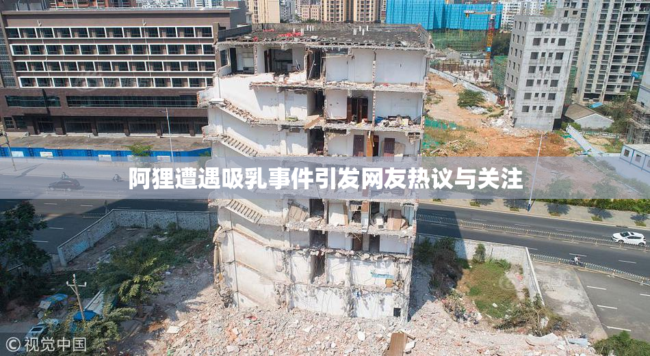 阿狸遭遇吸乳事件引发网友热议与关注