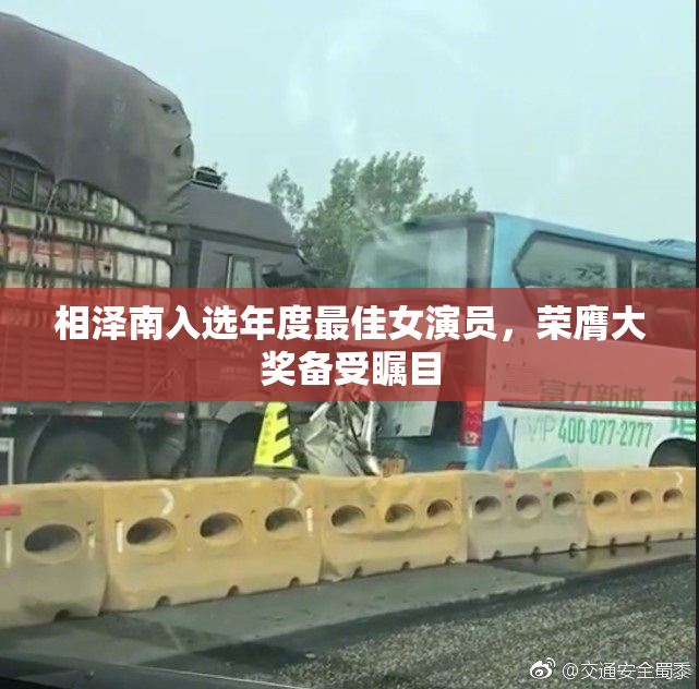 相泽南入选年度最佳女演员，荣膺大奖备受瞩目