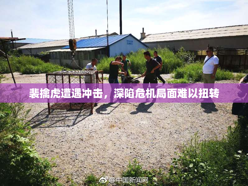 裴擒虎遭遇冲击，深陷危机局面难以扭转