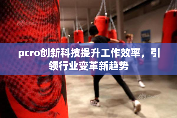 pcro创新科技提升工作效率，引领行业变革新趋势