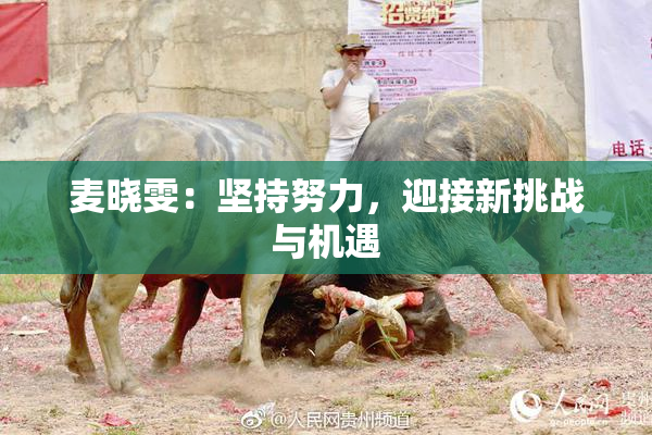 麦晓雯：坚持努力，迎接新挑战与机遇