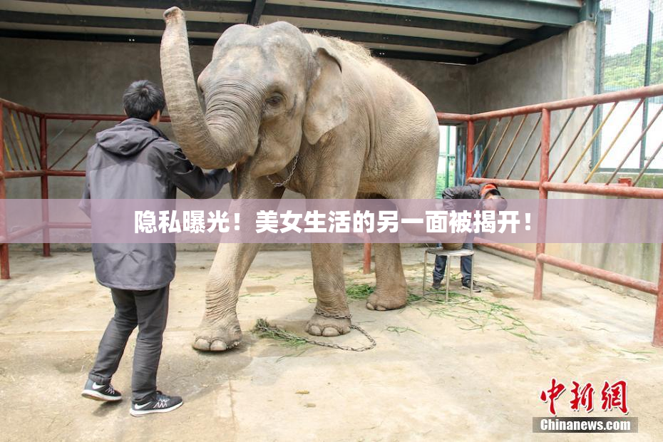 隐私曝光！美女生活的另一面被揭开！