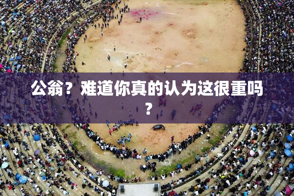 公翁？难道你真的认为这很重吗？