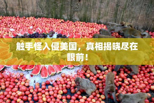 触手怪入侵美国，真相揭晓尽在眼前！