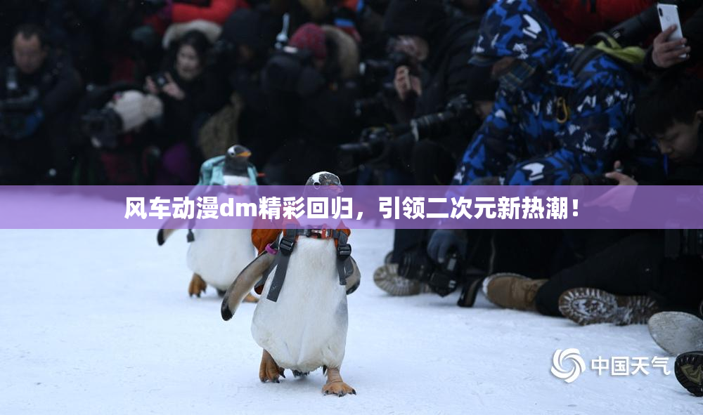 风车动漫dm精彩回归，引领二次元新热潮！