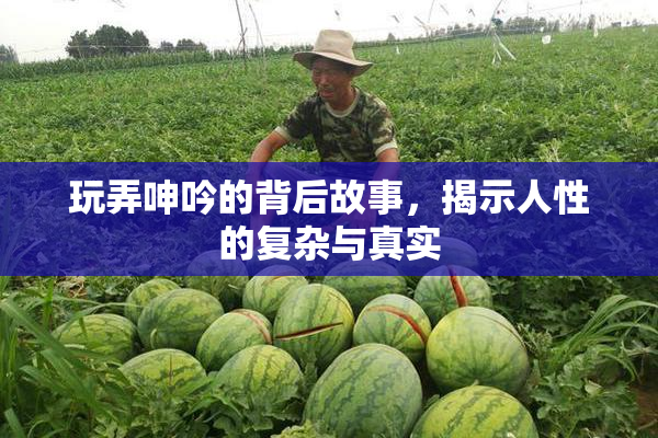 玩弄呻吟的背后故事，揭示人性的复杂与真实