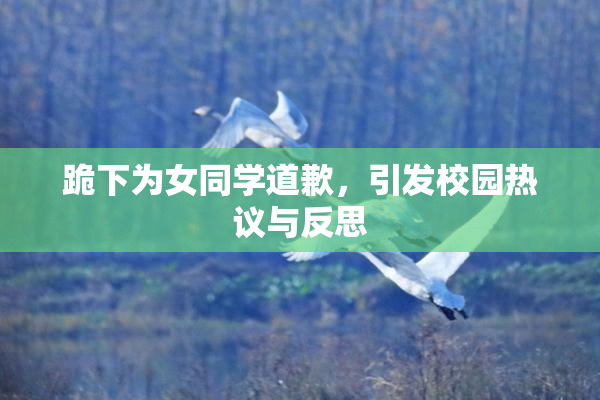 跪下为女同学道歉，引发校园热议与反思