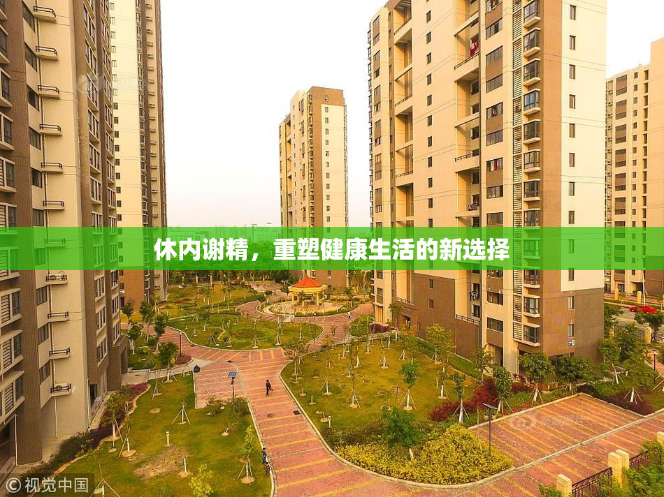 休内谢精，重塑健康生活的新选择