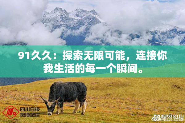 91久久：探索无限可能，连接你我生活的每一个瞬间。