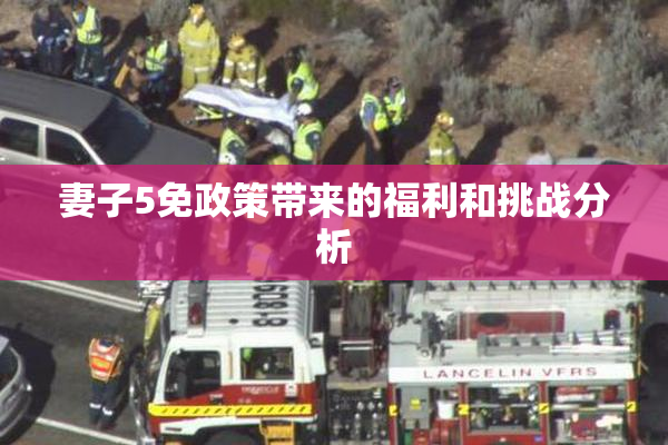 妻子5免政策带来的福利和挑战分析