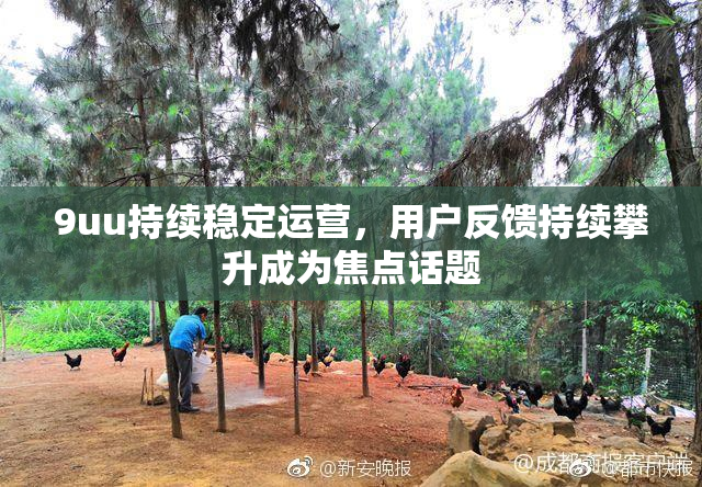 9uu持续稳定运营，用户反馈持续攀升成为焦点话题