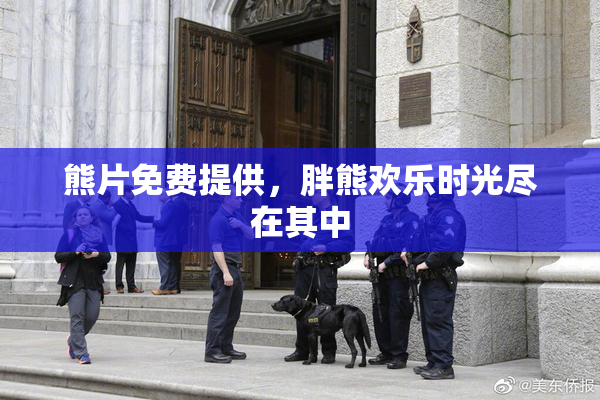 熊片免费提供，胖熊欢乐时光尽在其中
