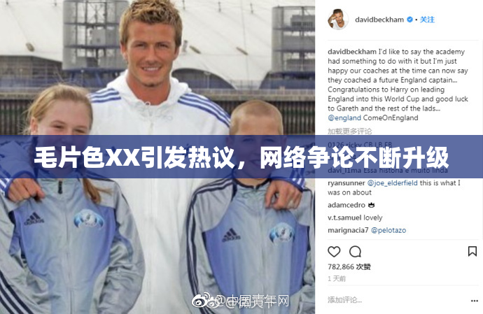 毛片色XX引发热议，网络争论不断升级