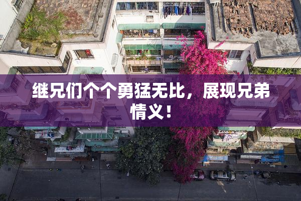 继兄们个个勇猛无比，展现兄弟情义！
