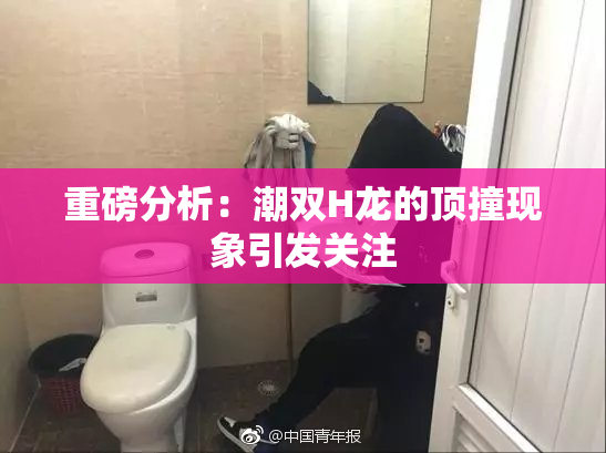 重磅分析：潮双H龙的顶撞现象引发关注