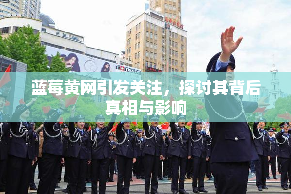 蓝莓黄网引发关注，探讨其背后真相与影响