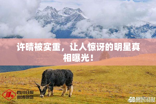许晴被实重，让人惊讶的明星真相曝光！