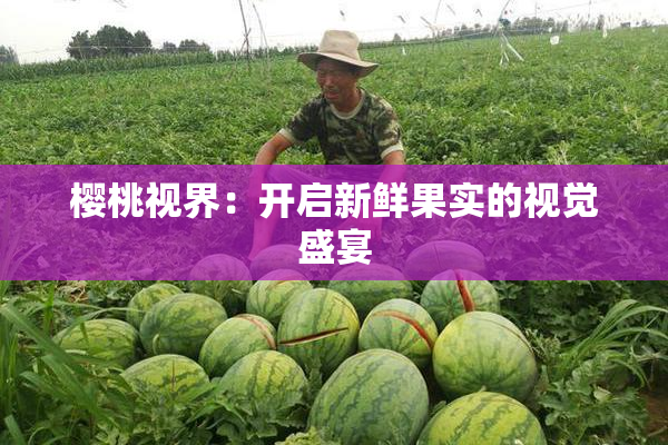 樱桃视界：开启新鲜果实的视觉盛宴