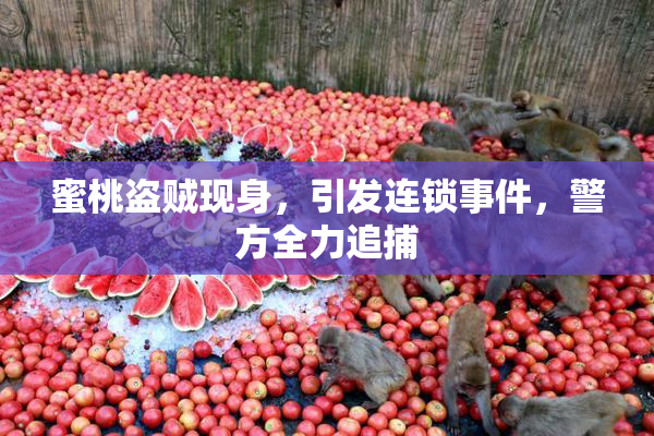 蜜桃盗贼现身，引发连锁事件，警方全力追捕