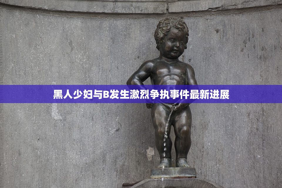 黑人少妇与B发生激烈争执事件最新进展