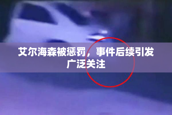 艾尔海森被惩罚，事件后续引发广泛关注