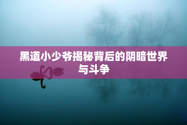 黑道小少爷揭秘背后的阴暗世界与斗争