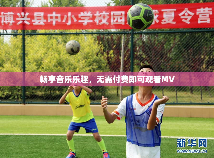 畅享音乐乐趣，无需付费即可观看MV