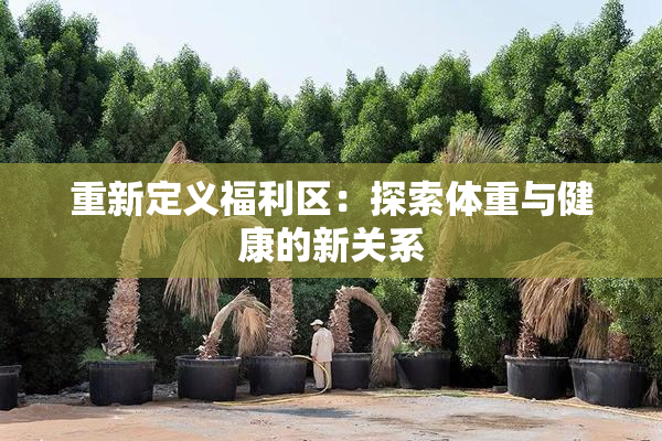 重新定义福利区：探索体重与健康的新关系
