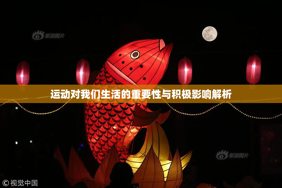 运动对我们生活的重要性与积极影响解析