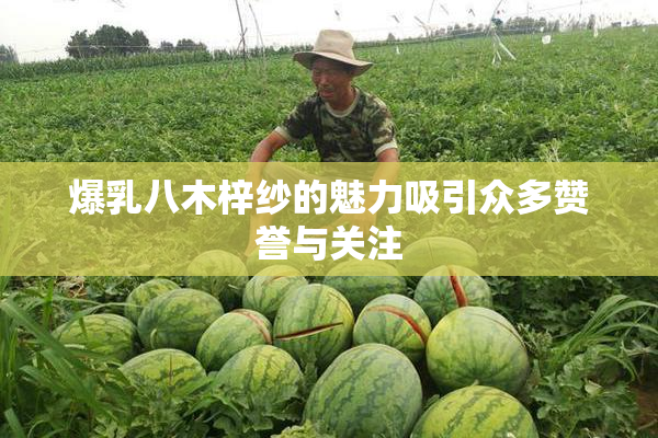 爆乳八木梓纱的魅力吸引众多赞誉与关注
