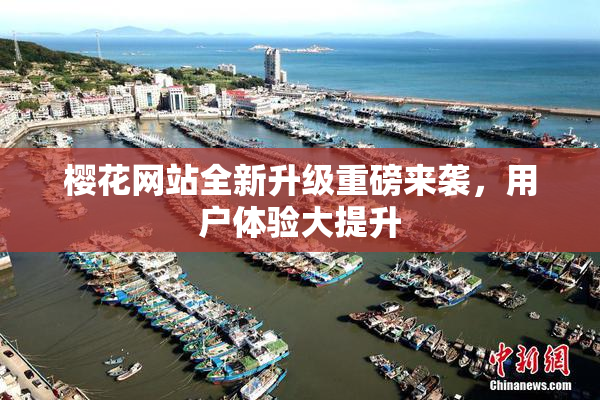 樱花网站全新升级重磅来袭，用户体验大提升