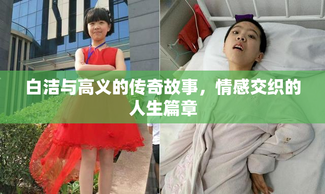 白洁与高义的传奇故事，情感交织的人生篇章