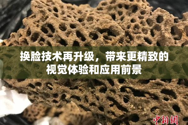 换脸技术再升级，带来更精致的视觉体验和应用前景