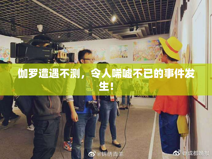 伽罗遭遇不测，令人唏嘘不已的事件发生！