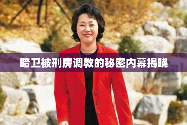 暗卫被刑房调教的秘密内幕揭晓