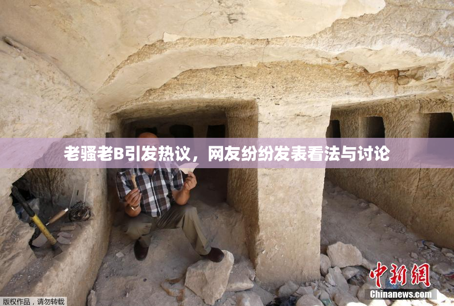 老骚老B引发热议，网友纷纷发表看法与讨论