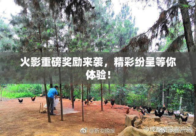 火影重磅奖励来袭，精彩纷呈等你体验！