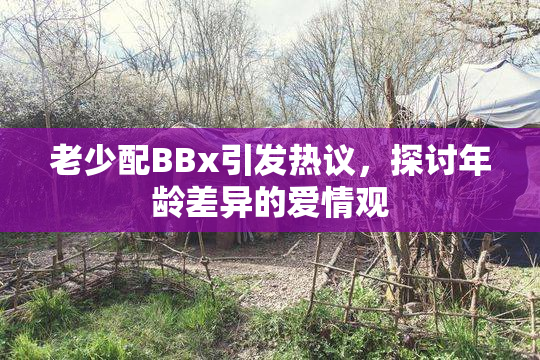 老少配BBx引发热议，探讨年龄差异的爱情观