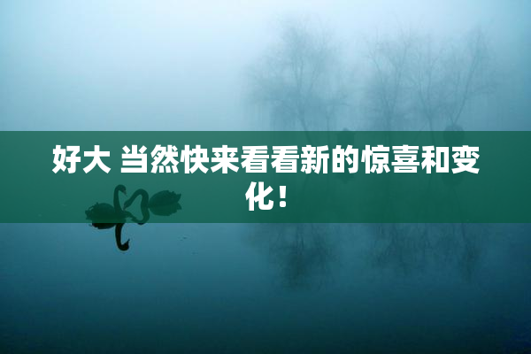 好大 当然快来看看新的惊喜和变化！